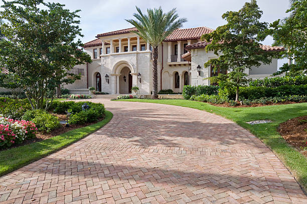 Best Driveway Paving Contractor  in Whiteville, NC